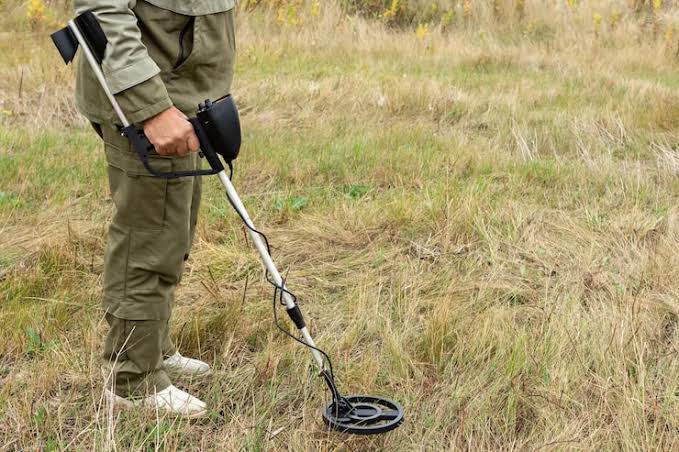 VERTEX Detectors in Germany für professionelle Goldsuche und Schatzsuche